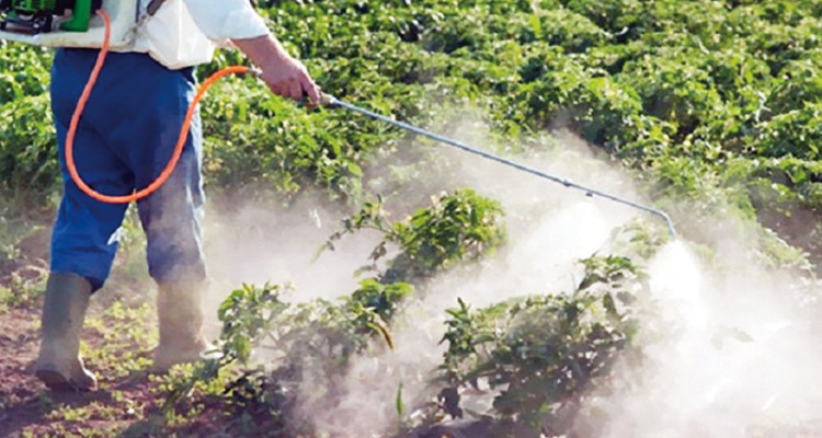  تتربص بالإنسان والحيوان والبيئة..   المبيدات الزراعية.. "سموم" أم منشطات نمو طبيعي للنباتات؟